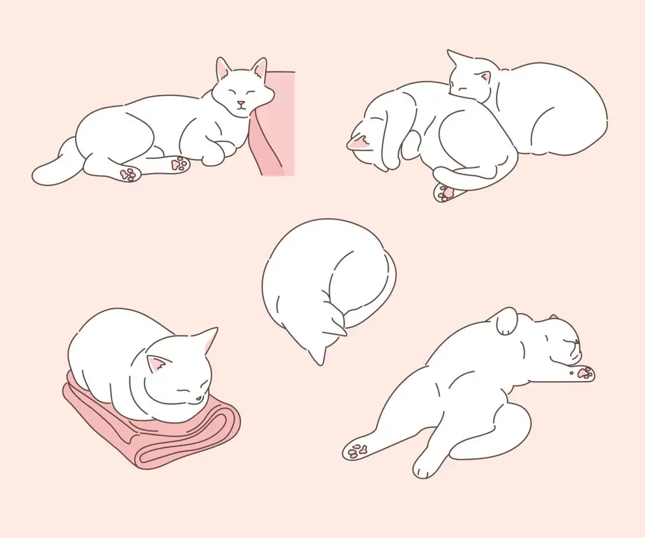 Pose-pose Kucing Anime yang Lucu dan Menghibur Gambar anime kucing lucu dengan berbagai pose jenaka dan menggemaskan.